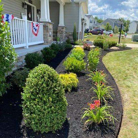 mulch